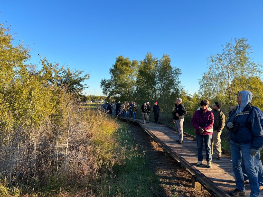 Visitors birdwatching along the boardwalk trail at Seabourne Creek Nature Park in Rosenberg, Texas.